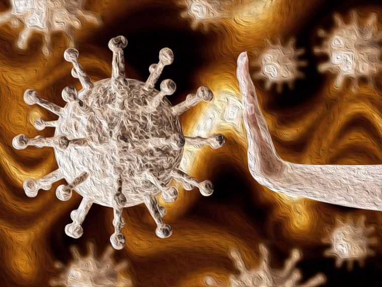 короновирус2.jpg короновирус2.jpg